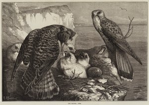 De Maanden, Juni
